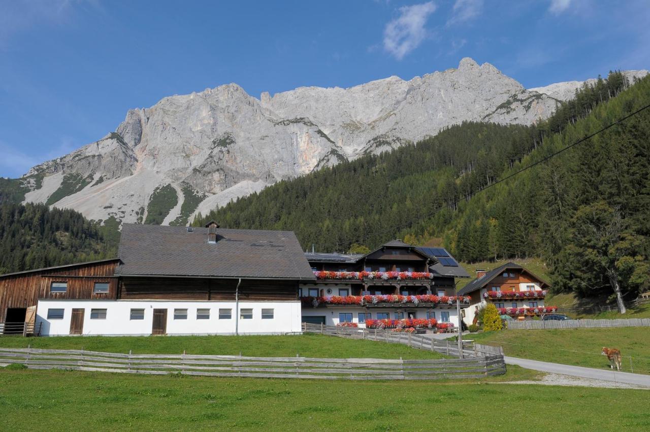 Feichtlehnerhof Bed & Breakfast Ramsau am Dachstein Ngoại thất bức ảnh
