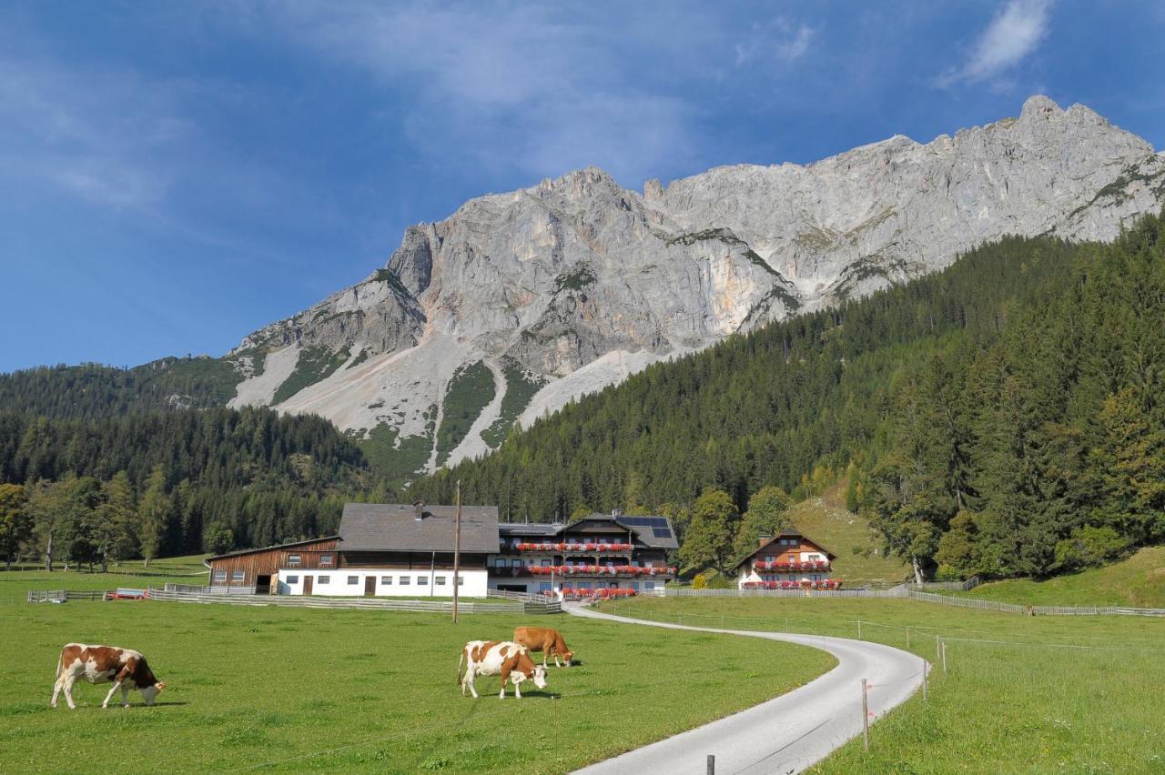 Feichtlehnerhof Bed & Breakfast Ramsau am Dachstein Ngoại thất bức ảnh
